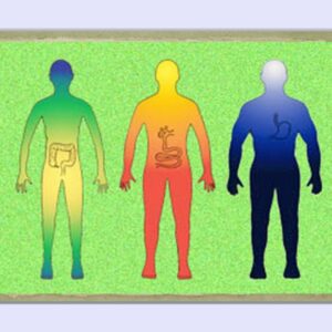 Eating for your Body Type