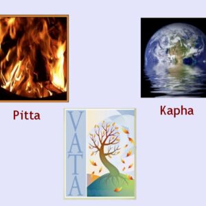 Introduction to Ayurvedic Concepts