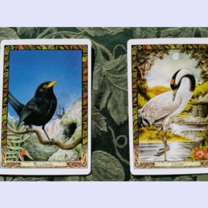 Divination and Transformation with the Sacred Animals of the Druid Tradition
